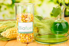 Burton Corner biofuel availability